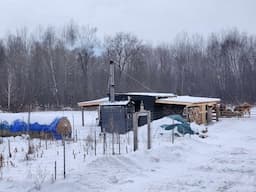 THE FARMSTEAD. Melissa has to go back to Louisiana. Calf feeder. Cutting wood. Snowstorm coming.