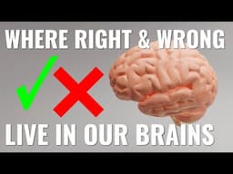 Where "right" and "wrong" live in our brains