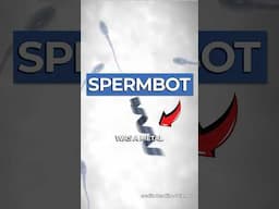 Scientists Created a Spermbot... It's weird