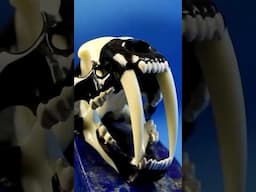 Sabertooth skull carved from 8 Ball