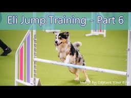 Jump Training Sessions 26-30, Part 6 - Agility Dog Training - Combating Bar Knocking Problems