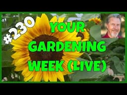 Garden Clean Up (Q&A)