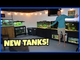 Adding FOUR AQUARIUMS To My FISH ROOM!