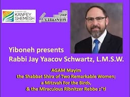 Parshat Beshalach: AGAM Mayim - the Shabbat Shira of Two Remarkable Women; a Mitzvah For the Birds