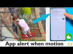 How to Set up Notifications on the Dahua NVR/Camera DMSS phone App for Tripwires or Motion Alarms