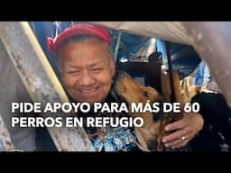 Pide apoyo para más de 60 perros en refugio