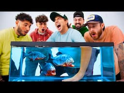 What's In The Aquarium Challenge