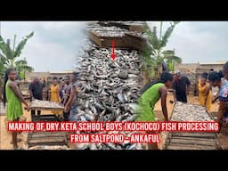 MAKING OF DRY KETA SCHOOL BOYS (KOCHOCO) FISH PROCESSING  FROM SALTPOND - ANKAFUL