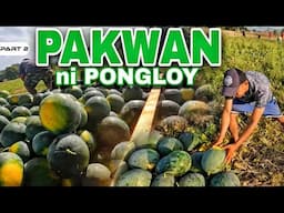 P2 - Pakwan ni Pongloy - EP1685