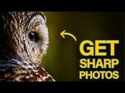 Why Your Photos Aren’t SHARP - Here's how to Fix It!