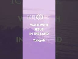 Tabgah | WALK WITH JESUS IN THE LAND SERIES