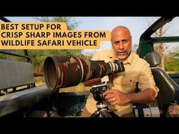 Your Best Setup for Crisp Sharp Images from Wildlife Safari Vehicle