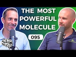 The Brain People Podcast: 095 | Melatonin