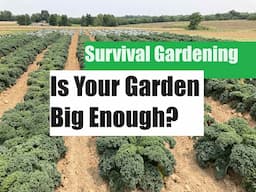 Is Your Garden Big Enough?  REAL DATA From a Commercial Farm