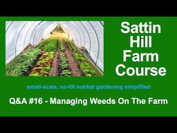 Sattin Hill Farm Course Q&A #16 - Managing Weeds On The Farm