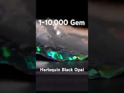 One gem in 10,000 Harlequin black opal