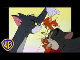 Tom & Jerry em Português 🇧🇷 | Brasil | Amigos e inimigos da vida toda! 🐭🐱 | @WBKidsBrasil​