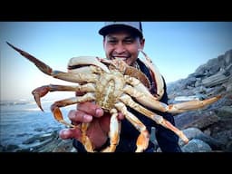 I Caught this Big Crab and Captured an Amazing Underwater Footage