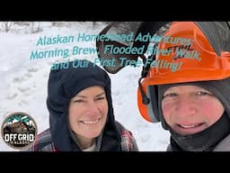 Alaska Homestead Adventures: Morning Brew, Flooded River Walk, and Our First Tree Felling!