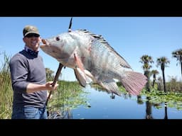 Spearing HUGE Tilapia & Armored Catfish! Tilapia Catch & Cook and Fishing for Barramundi