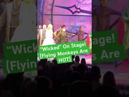 I went to see #wicked on #stage cuz I love flying monkeys! #musical #theatre #vlog #funny #fyp