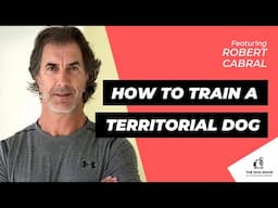 How to Train a Territorial Dog with Robert Cabral (Episode 66)