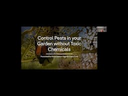 Control Pests without Toxic Chemicals