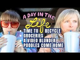 DITL Part 4 - Time to Recycle, Grocery Shopping, a Video Blunder, and Poodle Return