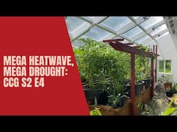 Mega Heatwave, Mega Drought: Greenhouse Update S2 E4