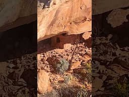 Crazy High Hidden Cliff Dwellings