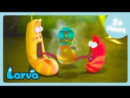 The FLy! 🪰 | Funniest Moments | Larva | Cartoon Compilation For Kids | WildBrain Bananas