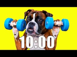 10 Minute Timer (DOG HEAVEN) 🐕