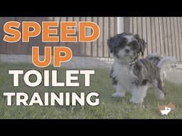 How To Potty Train A Puppy - Quickly