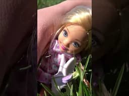 Barbie Sisters and Friends Picnic and Flower Picking #shorts