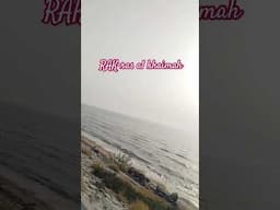 THE RAK BEACH | Flamingo scenery spot