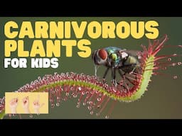 ASL Carnivorous Plants for Kids