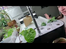 Office Garden - Hydroponic Indoor Garden