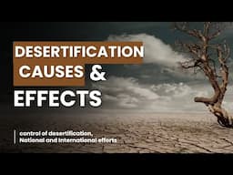 Desertification: Causes, Effects, and Global Solutions!