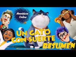 Un Gato con Suerte Resumen (2024)| 10 Lives Resumen (2024)