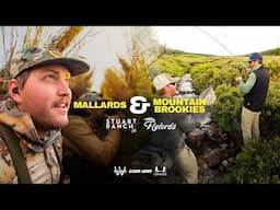 We Did The Ultimate Cast and Blast: Mallards and Mountain Brookies with Stuart Ranch Outfitters