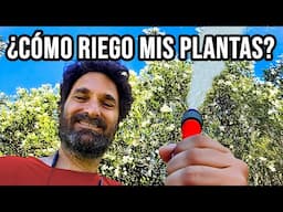 Cómo REGAR Correctamente las plantas? Consejos para Riego Manual y Riego Automático