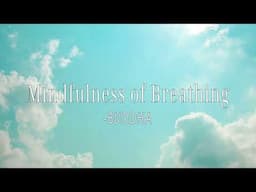 Mindfulness of Breathing | BUDDHA