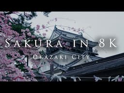 Sakura in 8K- Okazaki City- 8K桜映像-岡崎市-