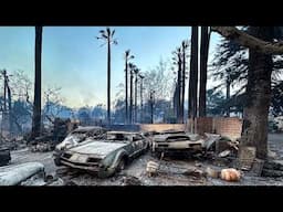 7,000+ Structures Destroyed: The Aftermath of the Deadly Altadena Fire