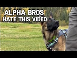 Alpha Bros Hate This Video: This is Why They’re Mad