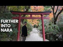 Autumn Getaway to NARA | Exploring Asuka & Yoshino | JAPAN TRAVEL VLOG【The Old Capital #3】