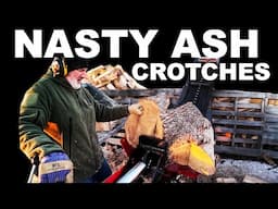 HOW TO SPLIT FIREWOOD... WOLFE RIDGE SPLITTER VS NASTY ASH CROTCHES!