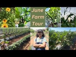 June 2024 Tour: Sprouting Roots Farm - Indian Vegetable Farm in USA