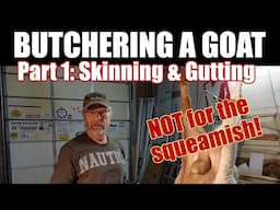 Butchering a goat this week! Dan shows skinning and gutting