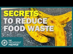 10 Simple Tips to SAVE MONEY and Reduce Food Waste!